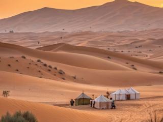 Desert Dunes &amp; Golden Sands