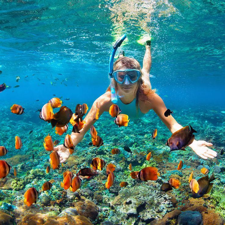 Snorkeling is one of the best experiences you will have in the Maldives